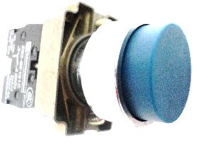 Blue Reset Button Specs:ZB2BW33C. 220AC